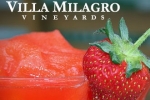 villa milagro Strawberry Daiquiri