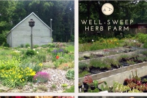 round valley reservoir to well sweep herb farm