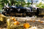 Great Pumpkin Train - Weekends, Sept. 29-Oct. 28